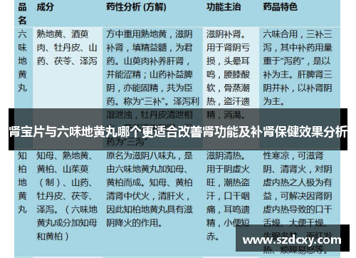 肾宝片与六味地黄丸哪个更适合改善肾功能及补肾保健效果分析